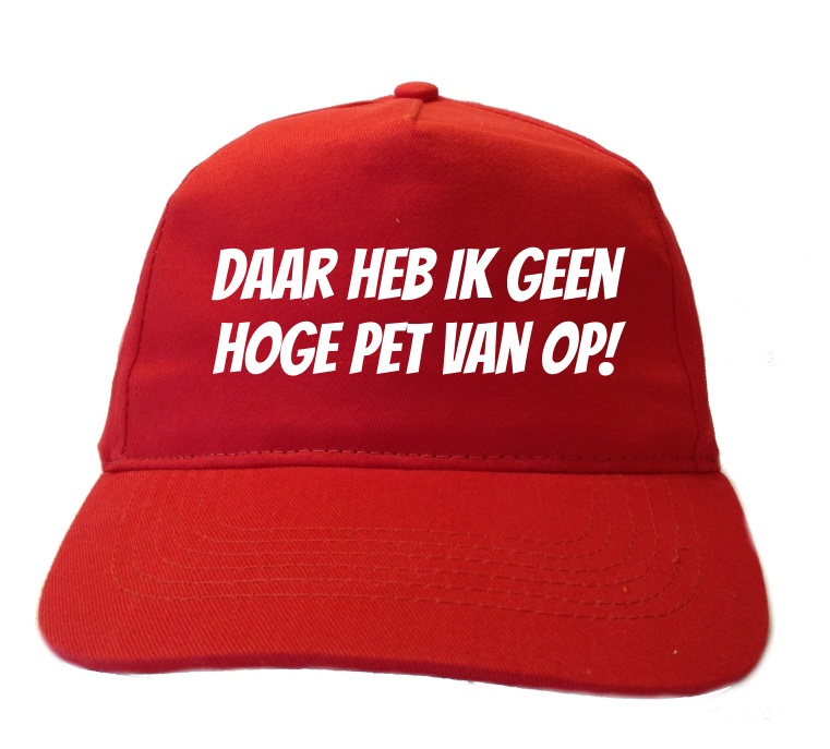 Daar heb ik geen hoge pet van op.=Ik geloof niet dat hij tot veel in