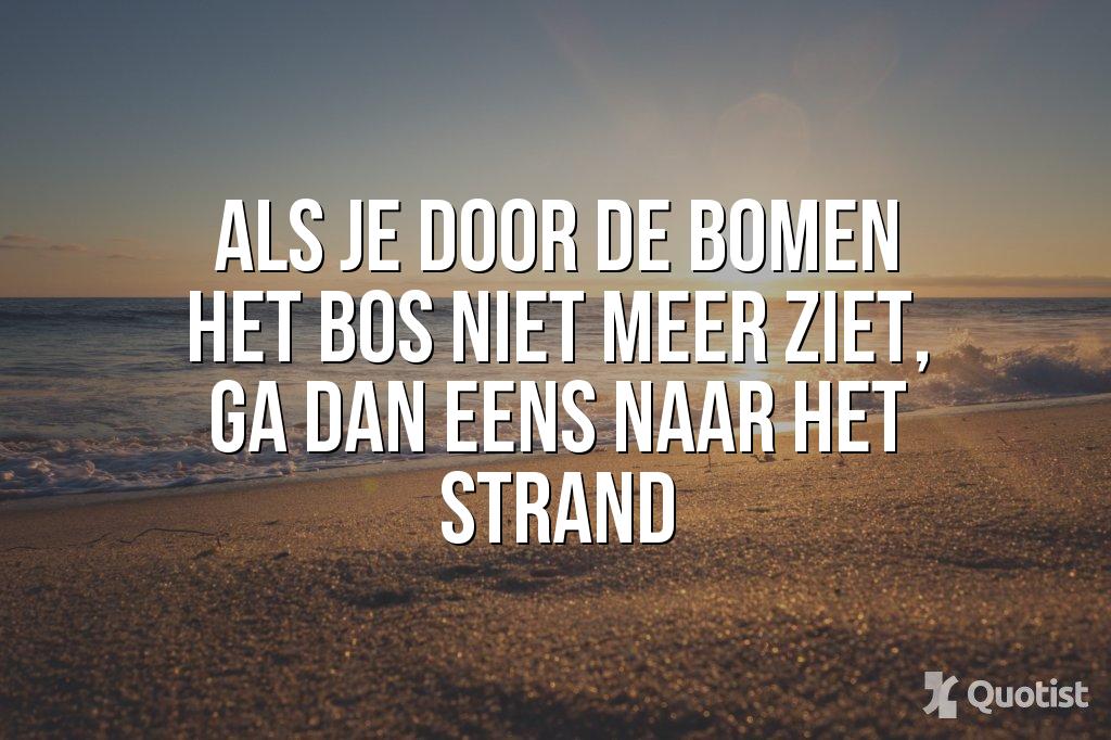 Als je door de bomen het bos niet meer ziet, ga dan eens naar het strand. Oneliners op www.one