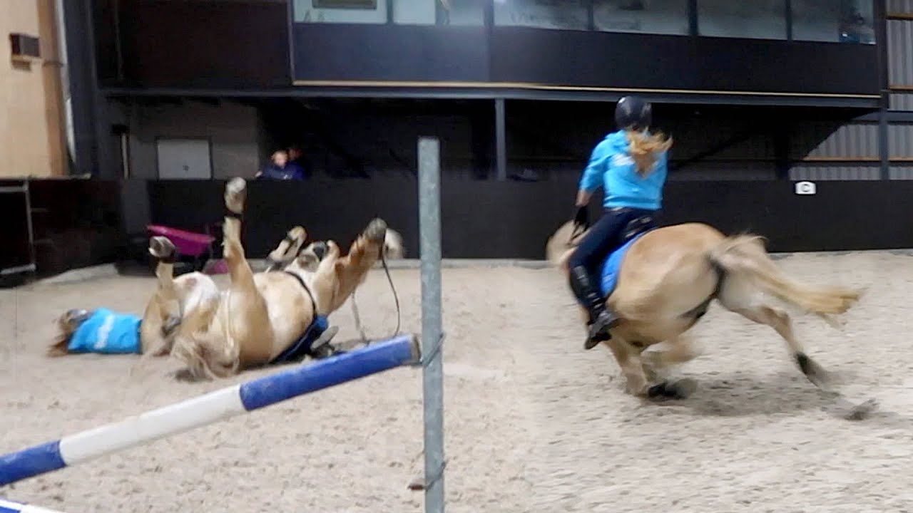 Het beste paard struikelt wel eens. =Ook de beste kan wel eens iets