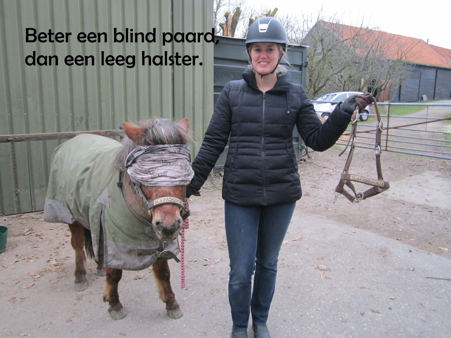 Beter Een Blind Paard Dan Een Lege