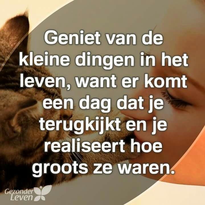 Geniet van de kleine dingen in het leven, want er komt een dag dat je terugkijkt en je je