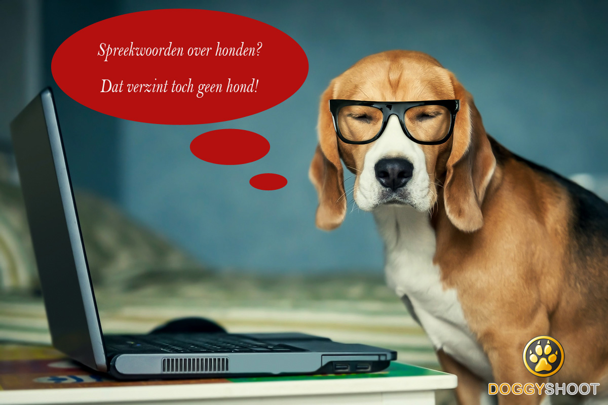 Daar lusten de honden geen brood van.=Dat is al te erg. Oneliners op www.oneliners.nl Daar lusten de honden geen brood van.=Dat is al te erg. Oneliners op www.oneliners.nl