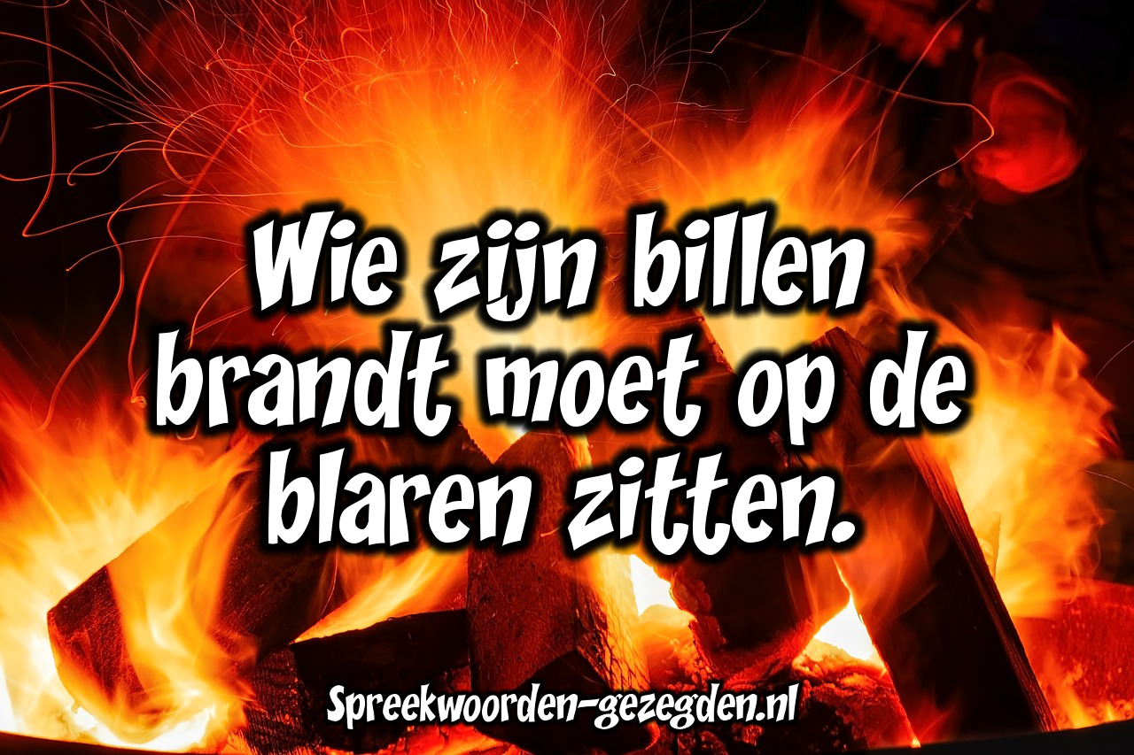 Wie zijn billen verbrandt, moet op de blaren zitten.=De gevolgen van je