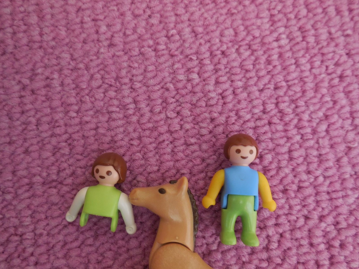 Anderhalve man en een paardenkop. =Weinig aanwezigen. | Oneliners op