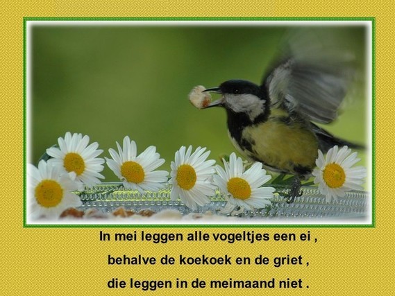 In Mei Legt Ieder Vogeltje Een Ei Betekenis