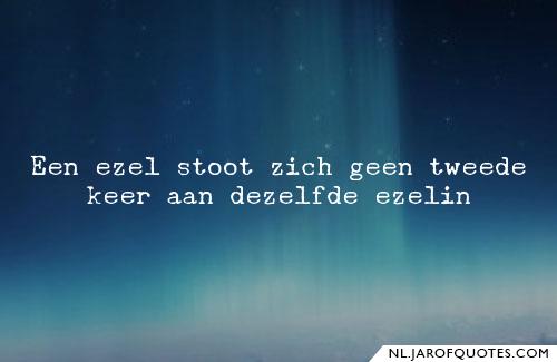 Een ezel stoot zich geen tweede keer aan dezelfde ezelin … | Oneliners