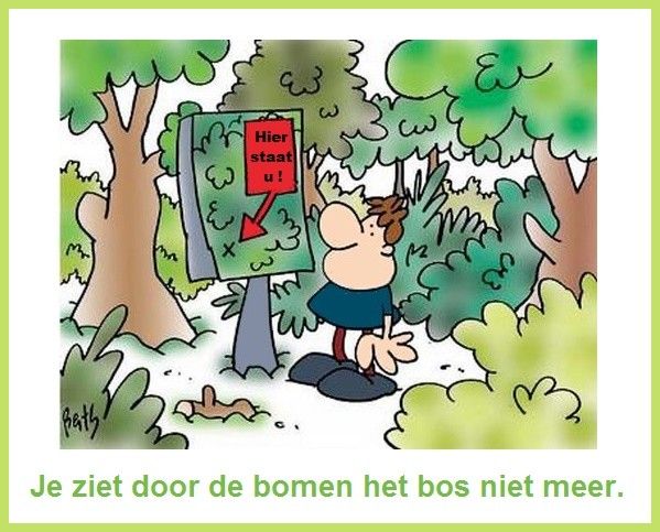 Door de bomen het bos niet zien,= door alle details het overzicht