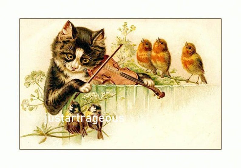 Iets voor de kat zijn viool doen.=Iets voor niets doen. | Oneliners op