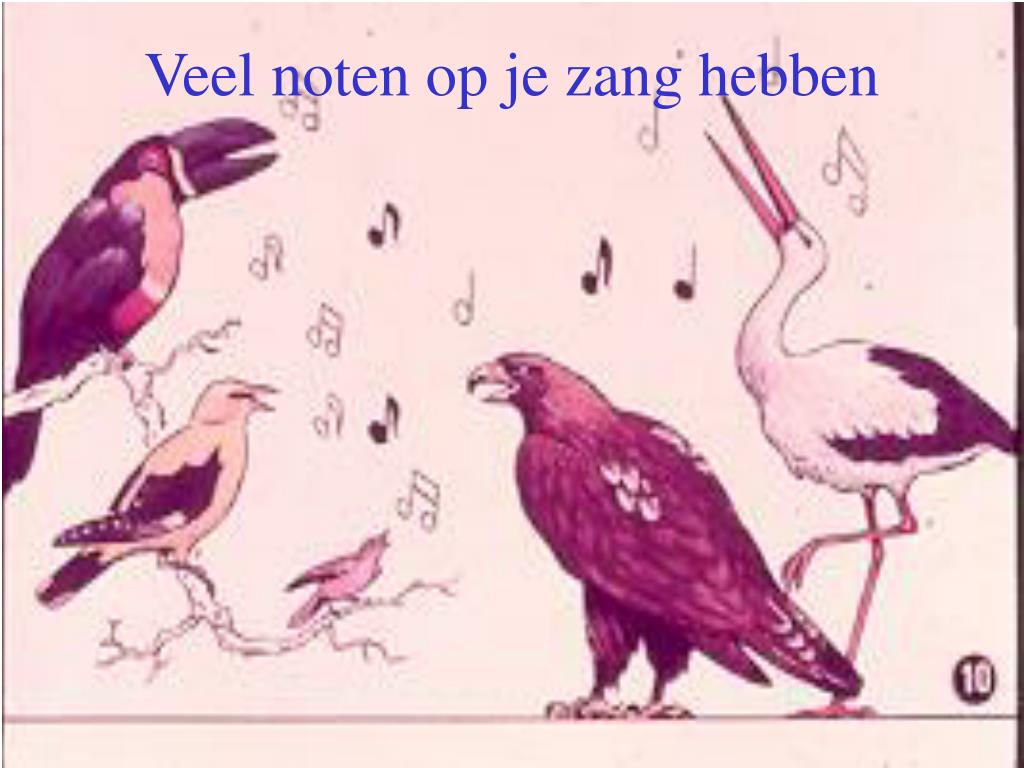 Veel Noten Op Zijn Zang Hebben