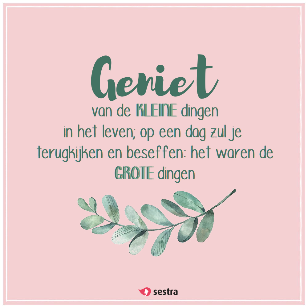 Mijn levensmotto is Geniet elke dag van het leven