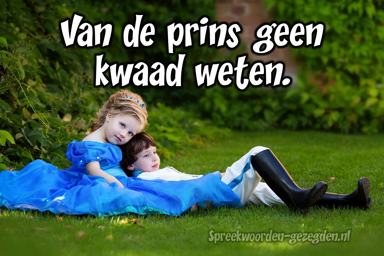 Van de prins geen kwaad weten=nergens vanaf weten. Oneliners op www.oneliners.nl Van de prins geen kwaad weten=nergens vanaf weten. Oneliners op www.oneliners.nl