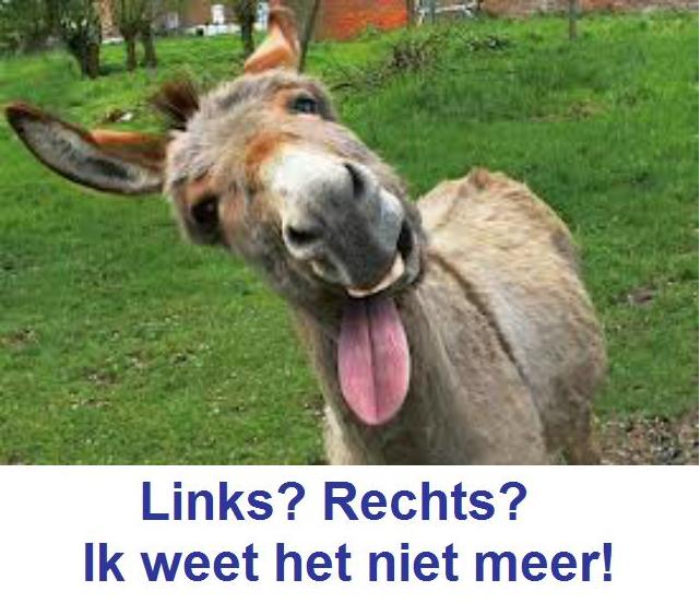 Hij staat daar als een ezel tussen twee oppers hooi.=Hij