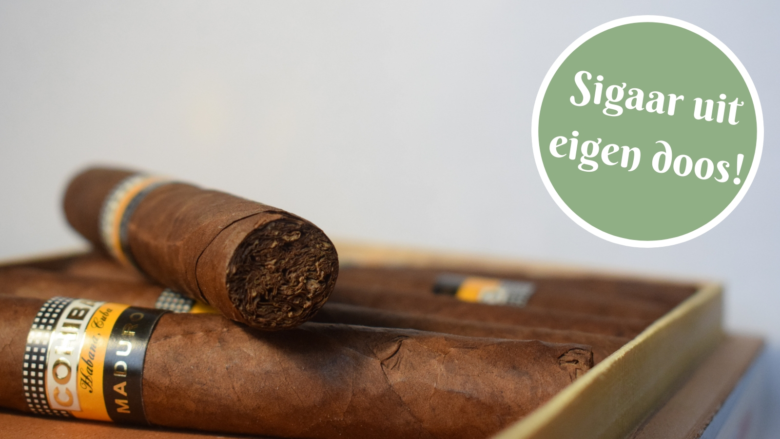 Het is een sigaar uit eigen doos.=Het lijkt een aantrekkelijk aanbod