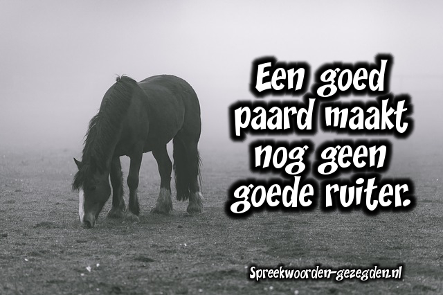 Een goed paard maakt nog geen goede ruiter. Oneliners op Een goed paard maakt nog geen goede ruiter. Oneliners op