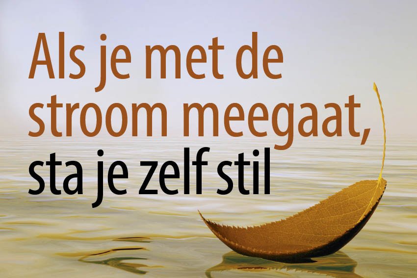 Citaten van Beroemdheden deel 7 Oneliners op www.one