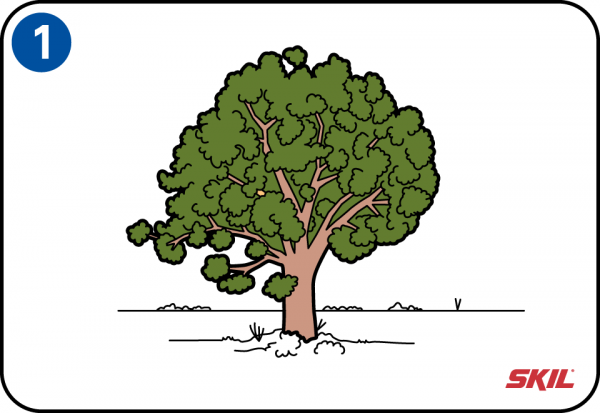 Boom Van Een Kerel Integendeel